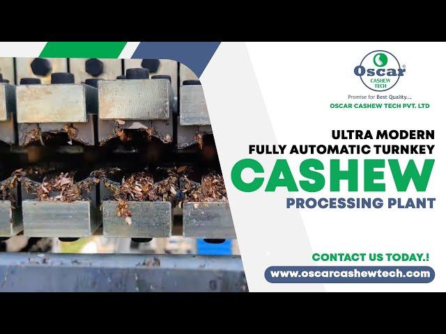 Turnkey Cashew Processing Plant