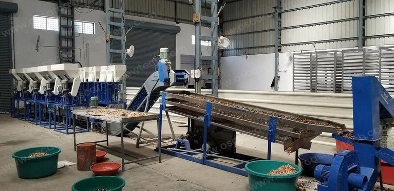 Turnkey Cashew Processing Plant