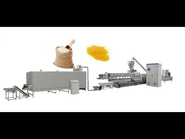 Twin Screw Extruder Machine