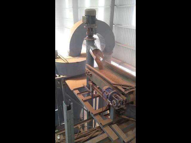 Two Way Discharge Conveyor System