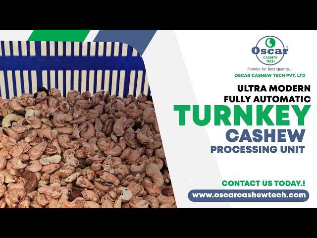 Ultra Modern Fully Automatic Cashew Processing Plant