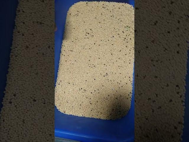 Urad Color Sorting Machine T20 - 2 Chute