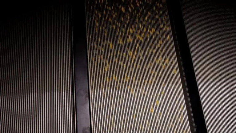 Used Color Sorter