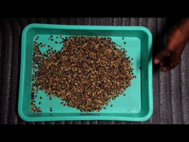 Used Color Sorter
