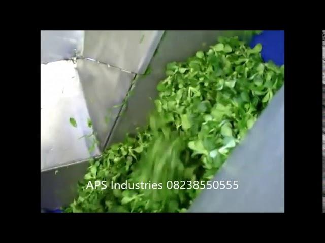 Vegetable Washing Machine 100kg/h