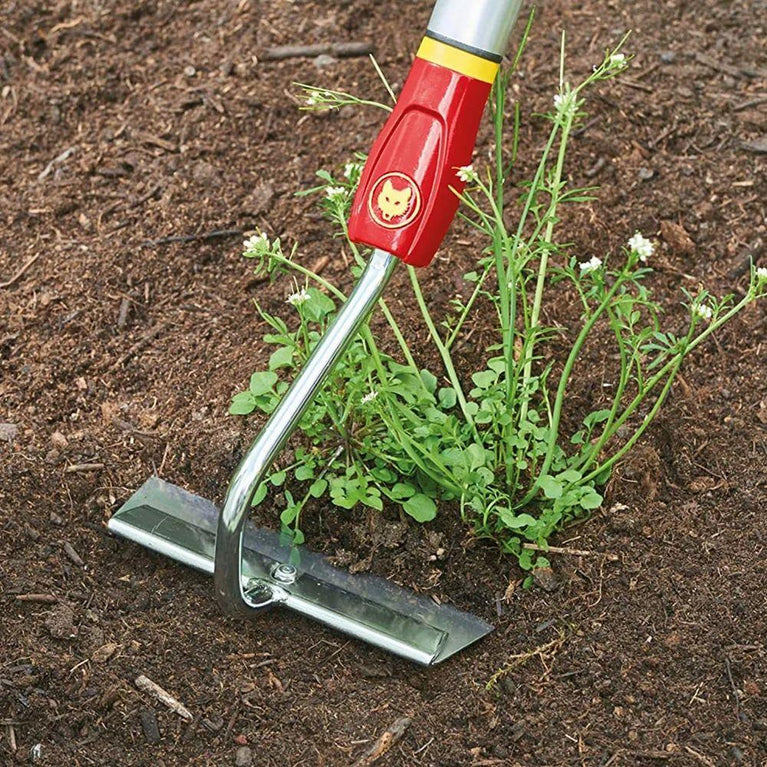 વુલ્ફ ગાર્ટન ફ્લોરલ HOE(HU-M 15) 15cm