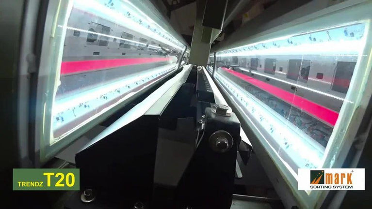 Wheat Color Sorter Machine