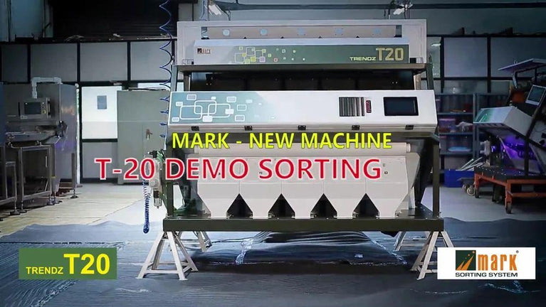 Wheat Color Sorting Machine T20 - 2 Chute