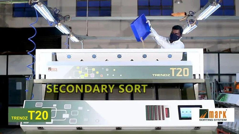 Wheat Color Sorting machine - T20 - 4 Chute