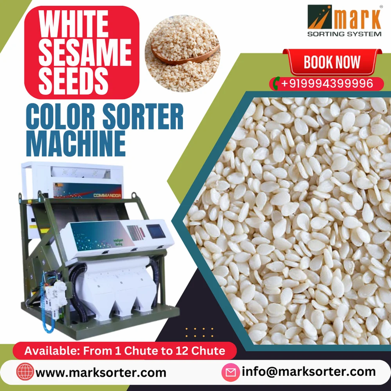 White Sesame Seeds Color Sorter Machine / Sesame Sorting Machine / Seeds Sorting Machine