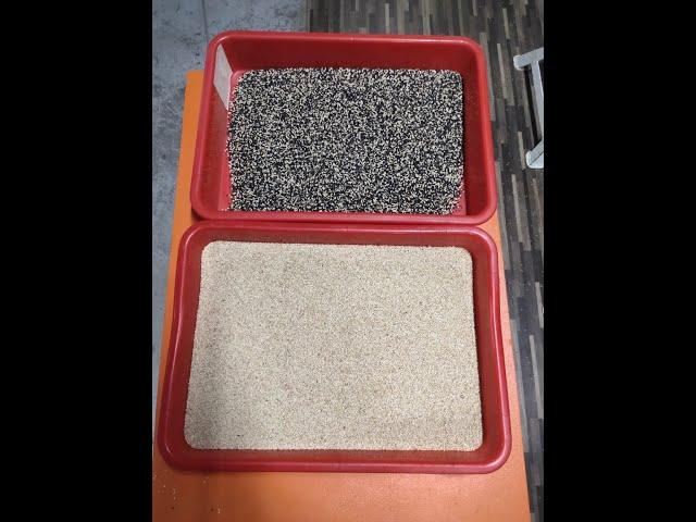 White Sesame Seeds Color Sorter Machine / Sesame Sorting Machine / Seeds Sorting Machine