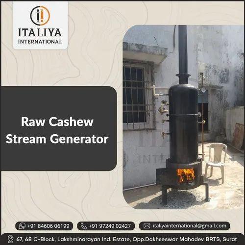 વુડ ફાયર્ડ 640 કિગ્રા/કલાક સ્ટીમ બોઈલર