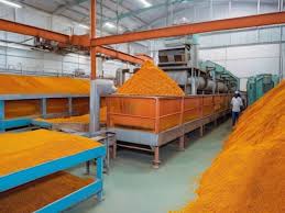 Turmeric Processing Plant