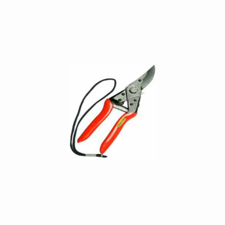 Pruning Secateur (Gardenia)