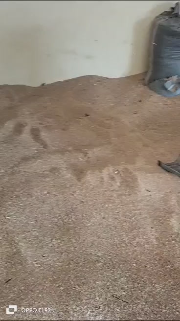 Seed Cleaner