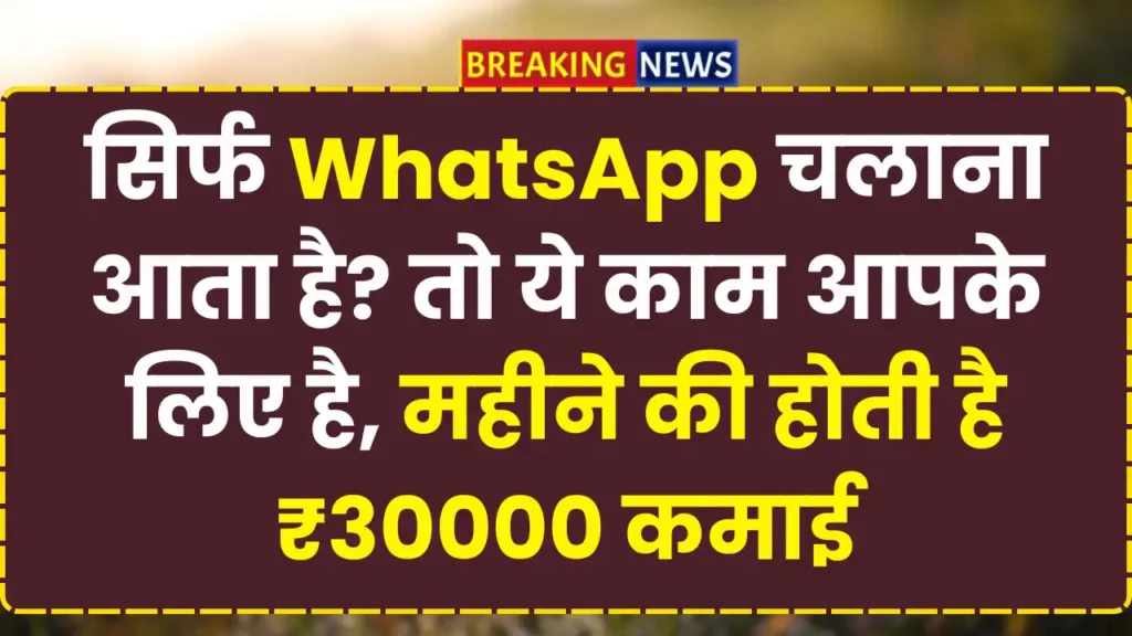 WhatsApp catalogue manager job