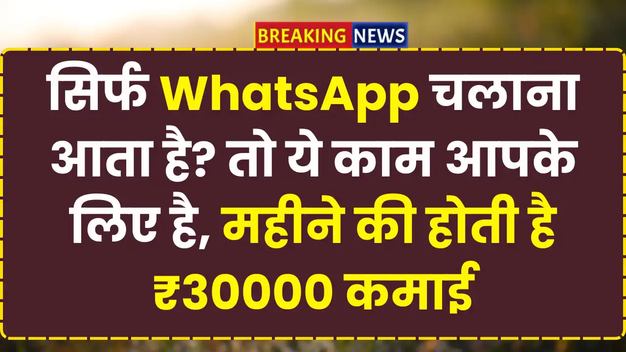 WhatsApp catalogue manager job